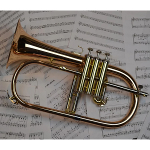 Christmas Brass variable