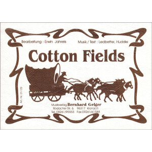 Cotton Fields - CCR (Bigband)